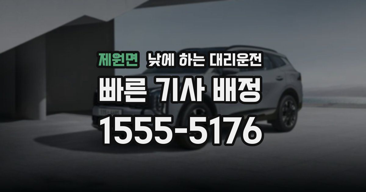 제원면 낮에 하는 대리운전