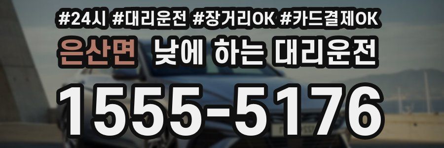 은산면 낮에 하는 대리운전