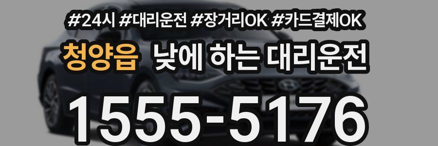 청양읍 낮에 하는 대리운전