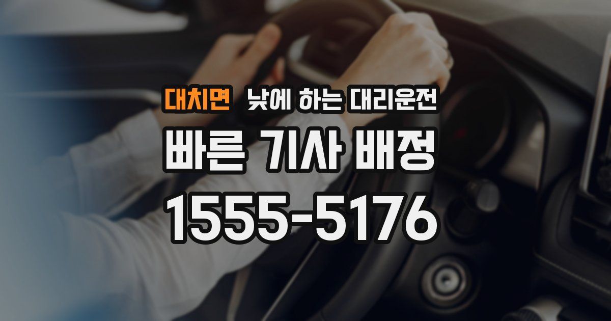 대치면 낮에 하는 대리운전
