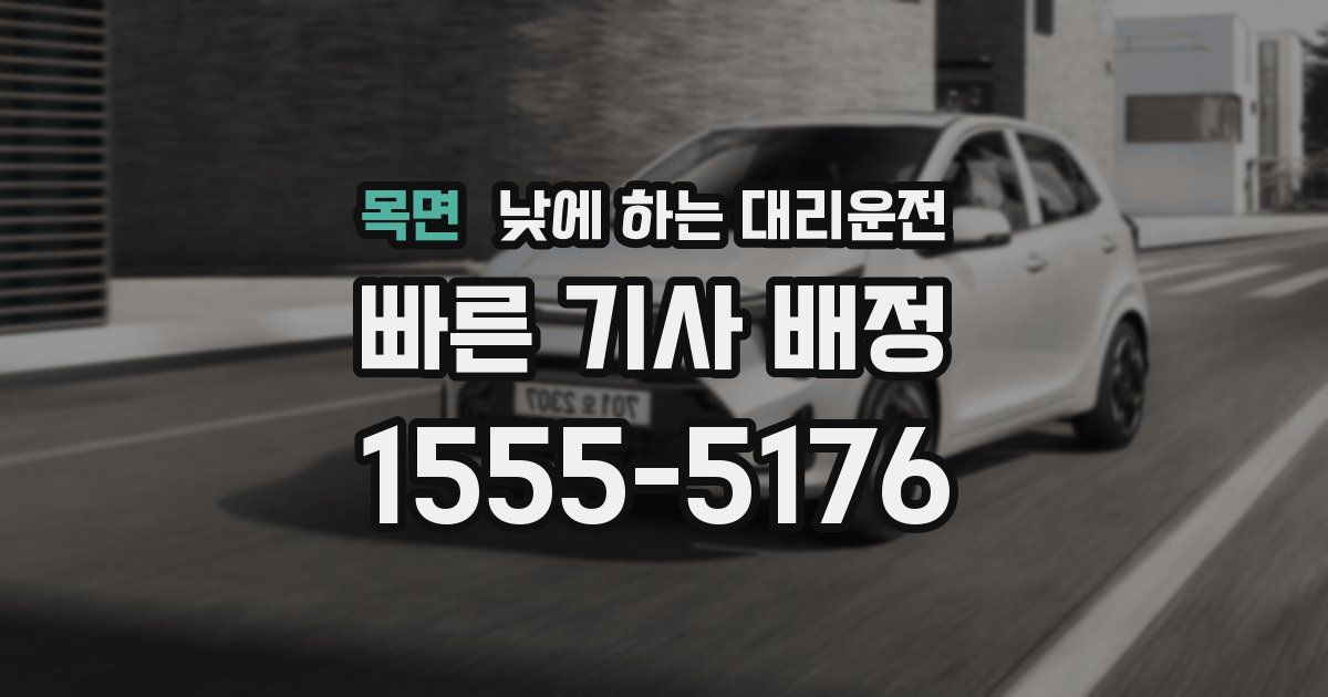 목면 낮에 하는 대리운전