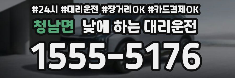 청남면 낮에 하는 대리운전