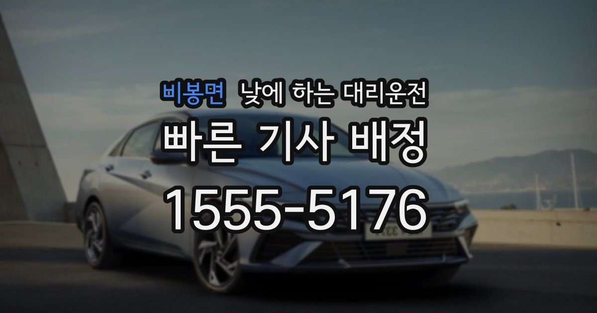 비봉면 낮에 하는 대리운전