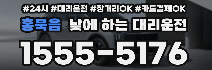 홍북읍 낮에 하는 대리운전