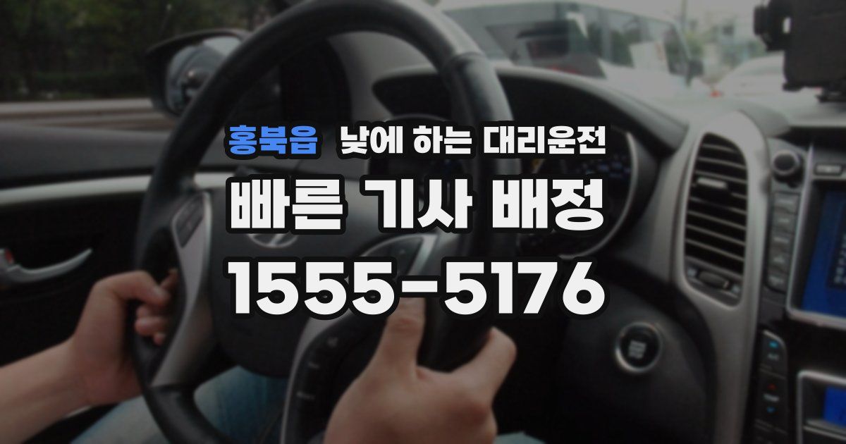 홍북읍 낮에 하는 대리운전