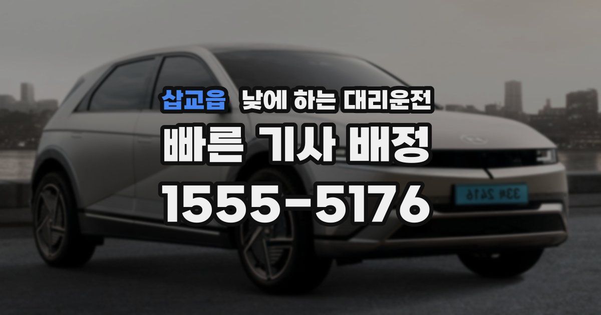 삽교읍 낮에 하는 대리운전