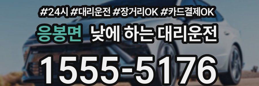 응봉면 낮에 하는 대리운전