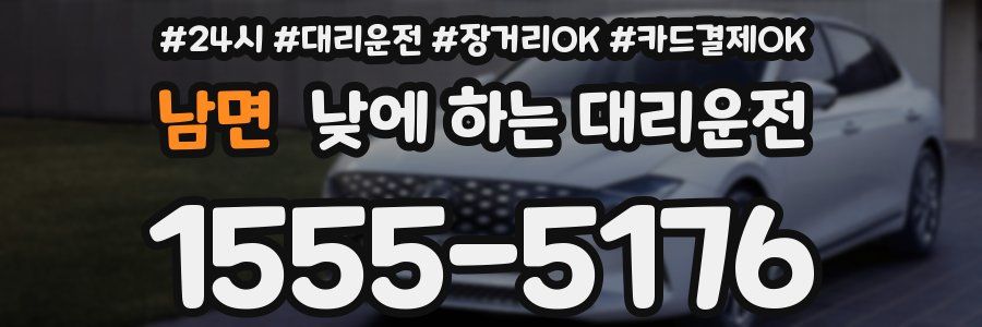 남면 낮에 하는 대리운전