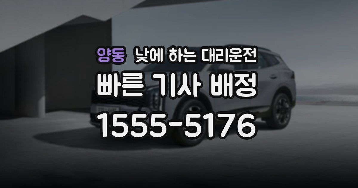 양동 낮에 하는 대리운전