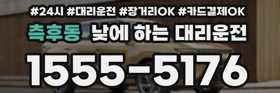 측후동 낮에 하는 대리운전