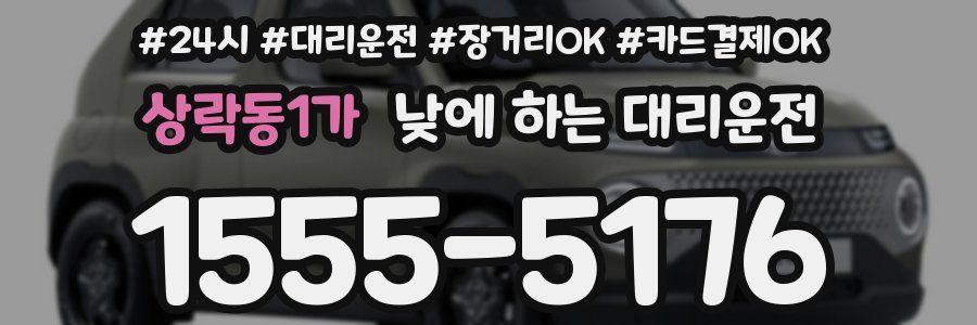 상락동1가 낮에 하는 대리운전