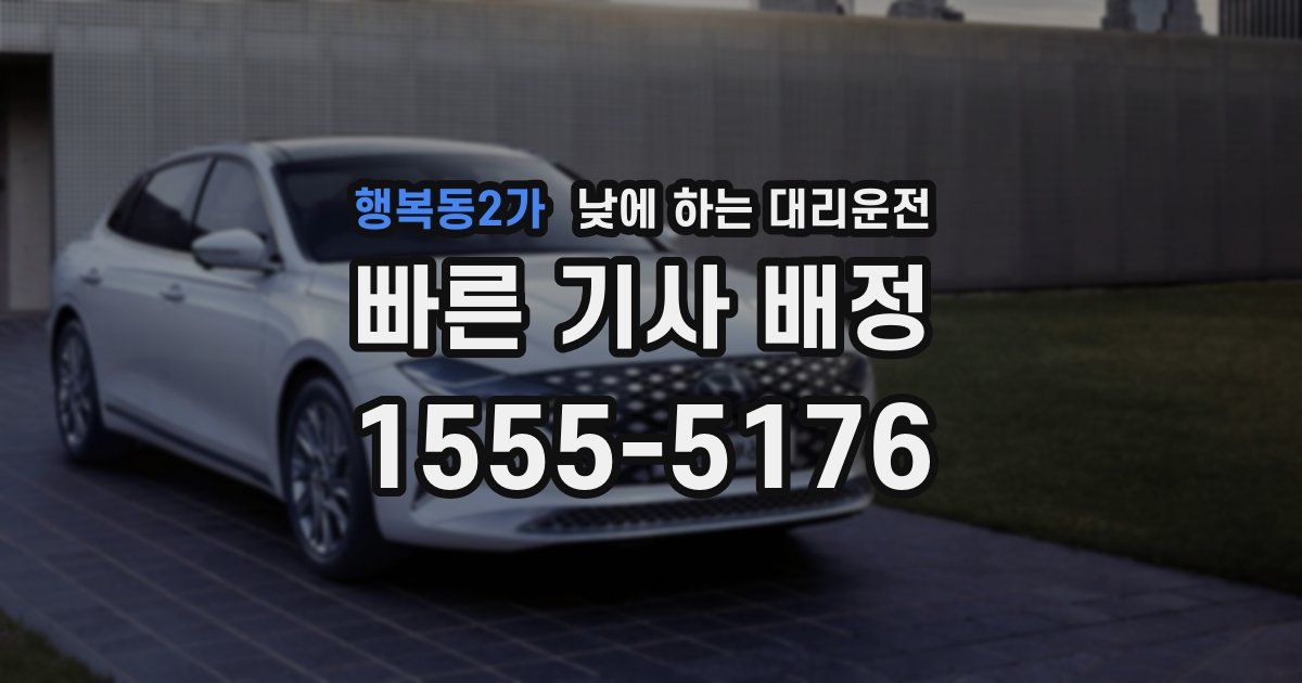 행복동2가 낮에 하는 대리운전