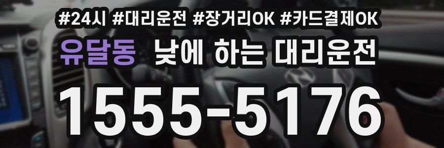 유달동 낮에 하는 대리운전