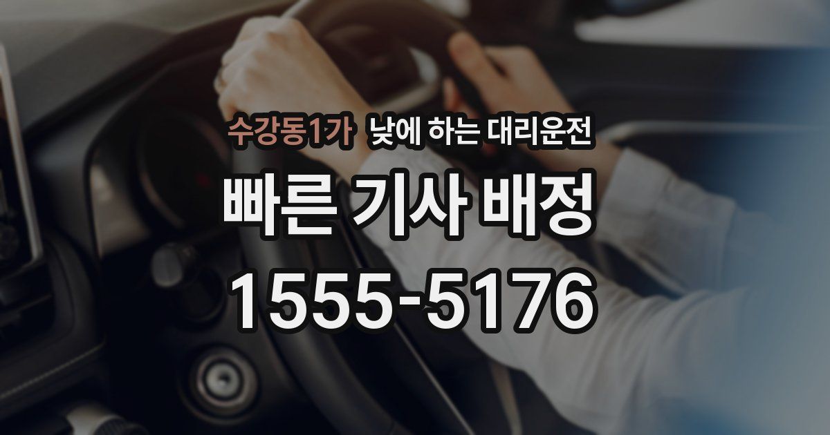 수강동1가 낮에 하는 대리운전