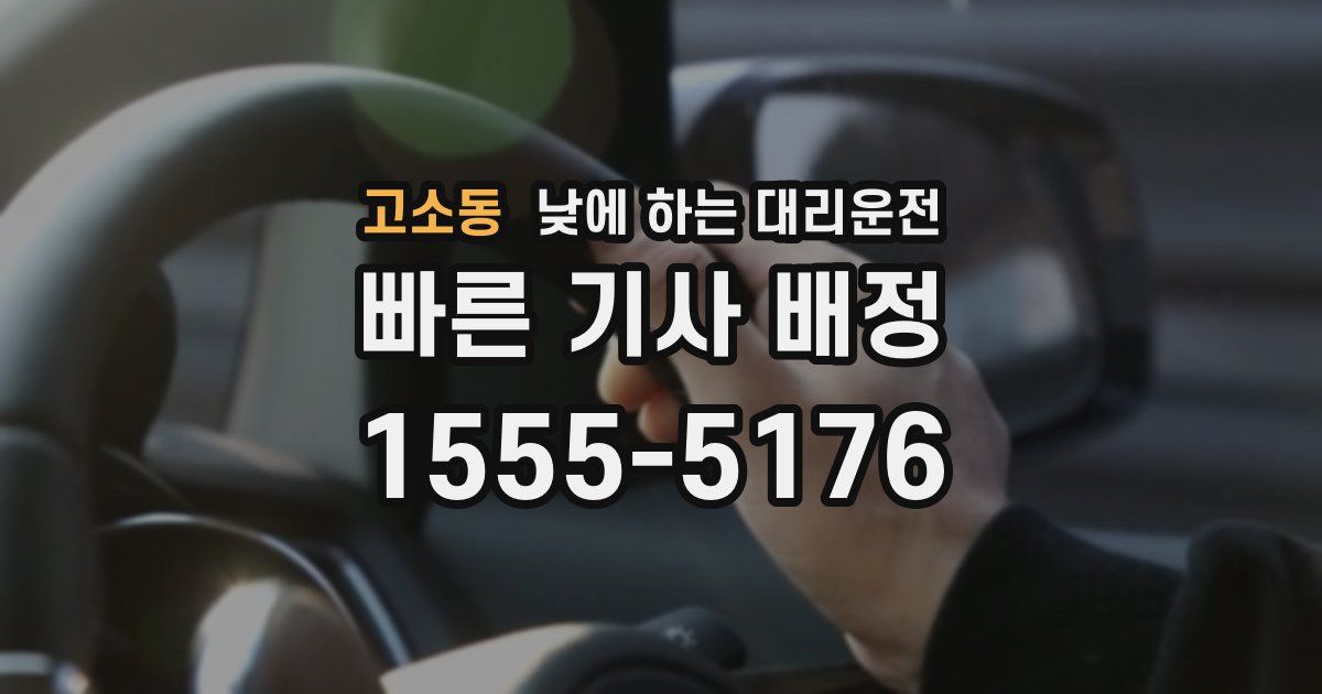 고소동 낮에 하는 대리운전