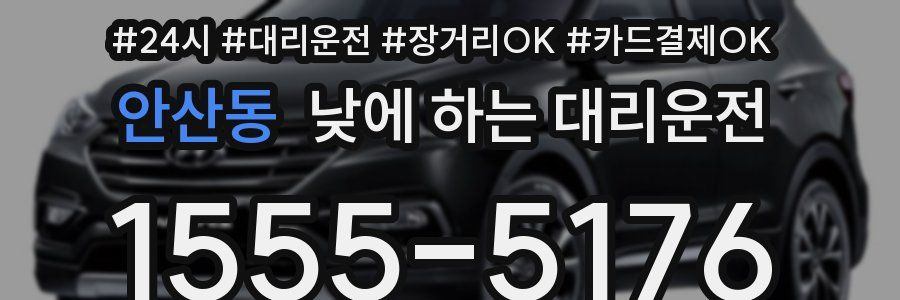 안산동 낮에 하는 대리운전