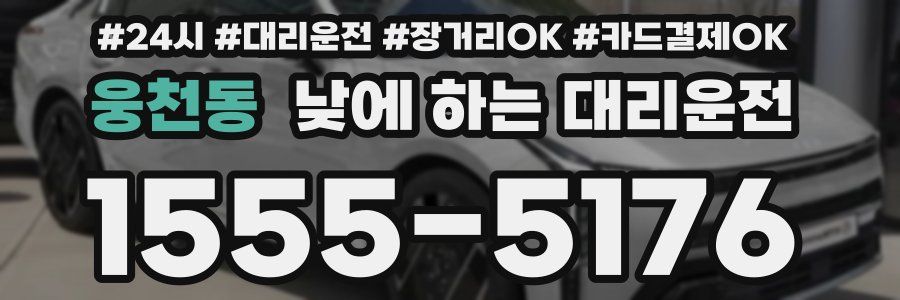 웅천동 낮에 하는 대리운전