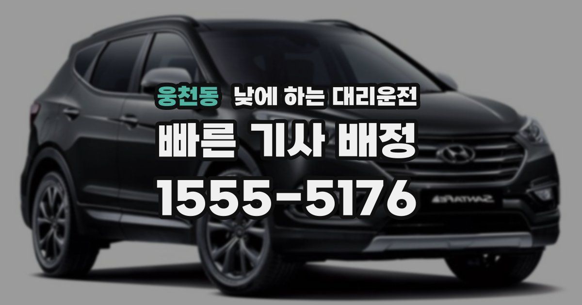 웅천동 낮에 하는 대리운전