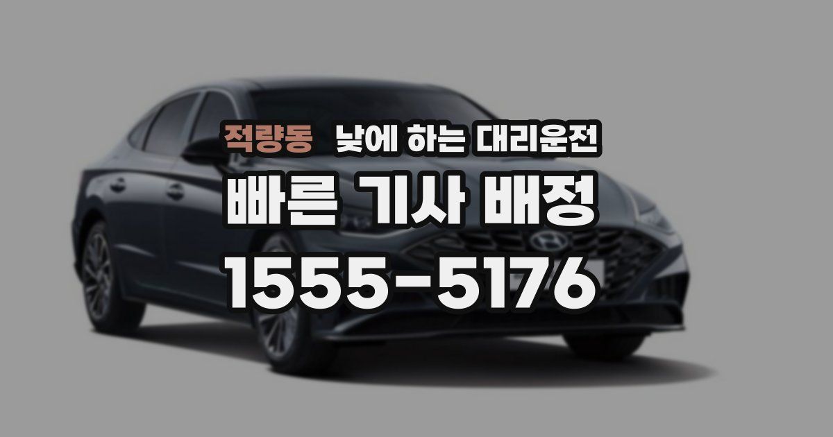 적량동 낮에 하는 대리운전