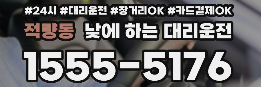 적량동 낮에 하는 대리운전