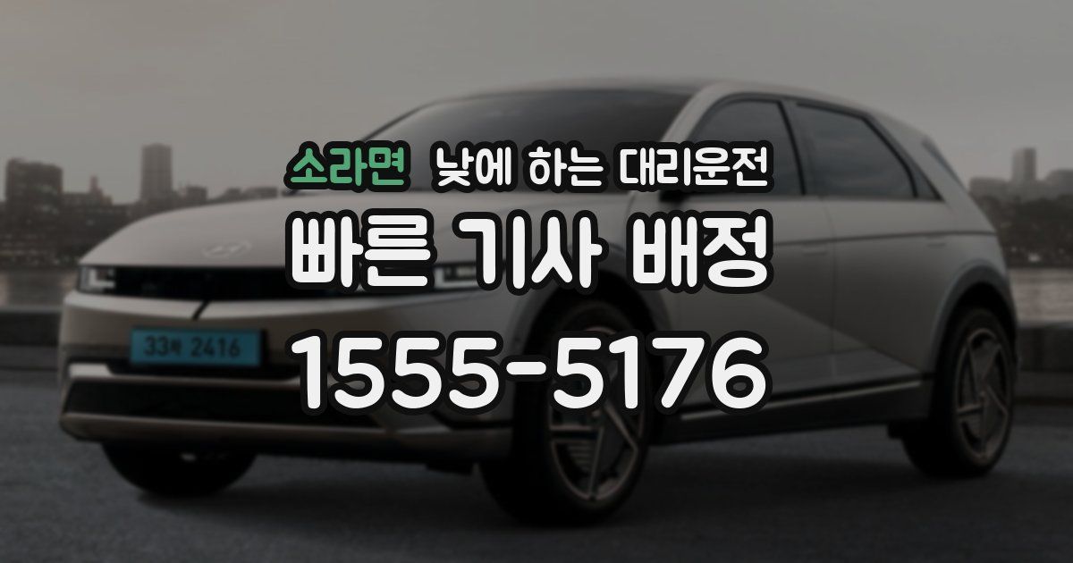 소라면 낮에 하는 대리운전