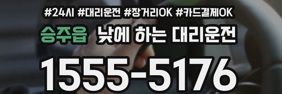 승주읍 낮에 하는 대리운전