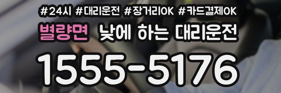 별량면 낮에 하는 대리운전