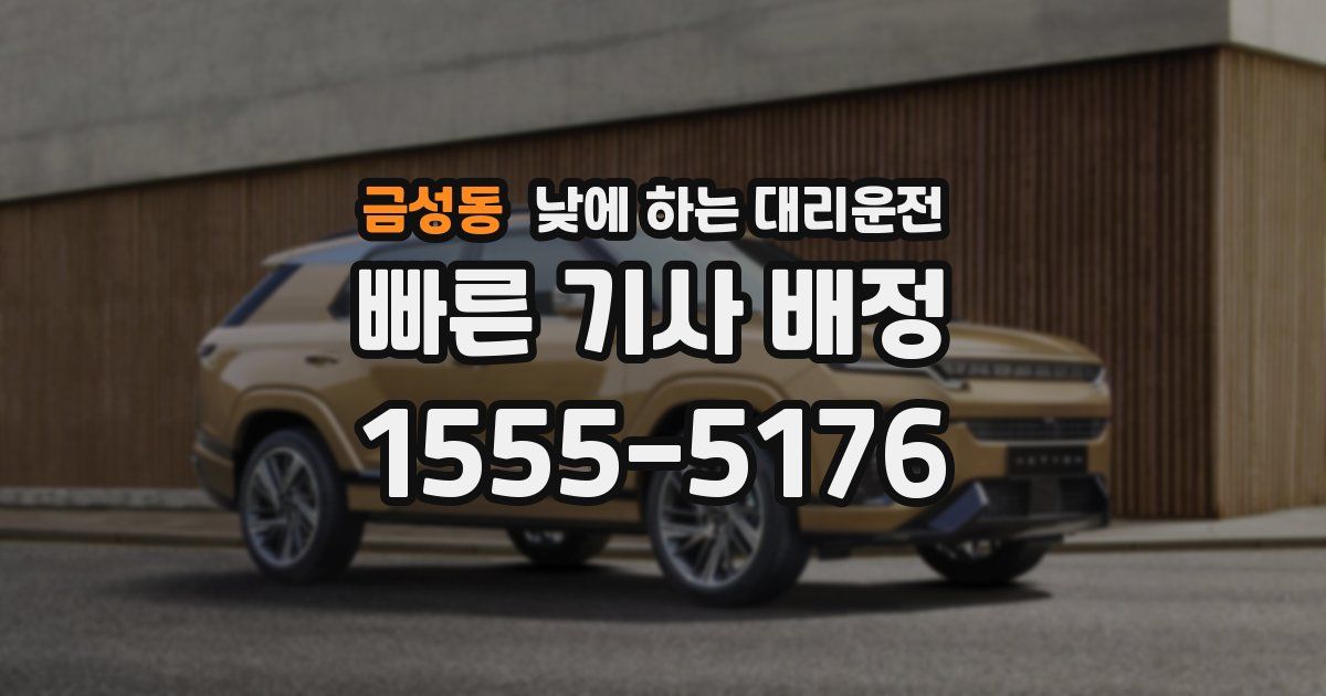 금성동 낮에 하는 대리운전