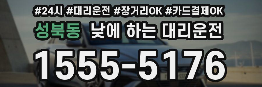 성북동 낮에 하는 대리운전