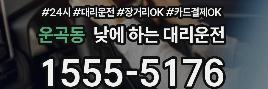 운곡동 낮에 하는 대리운전