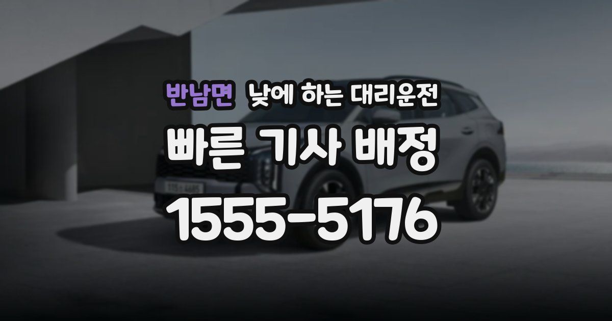 반남면 낮에 하는 대리운전