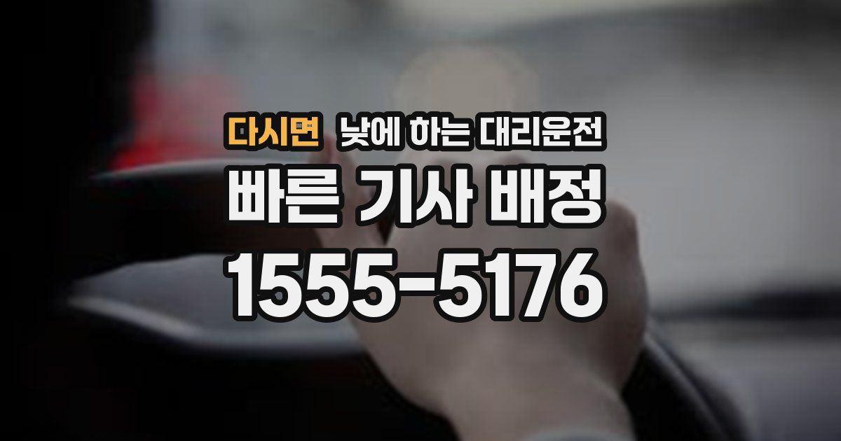 다시면 낮에 하는 대리운전