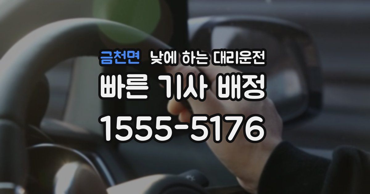 금천면 낮에 하는 대리운전