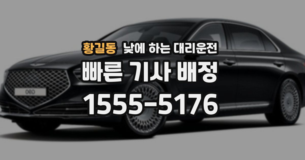 황길동 낮에 하는 대리운전