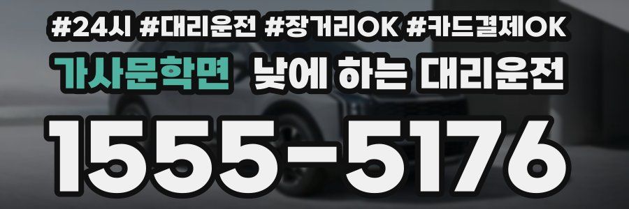 가사문학면 낮에 하는 대리운전