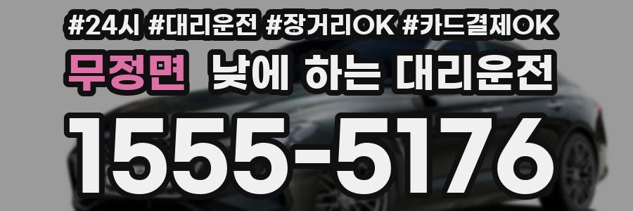 무정면 낮에 하는 대리운전