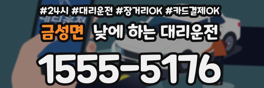 금성면 낮에 하는 대리운전