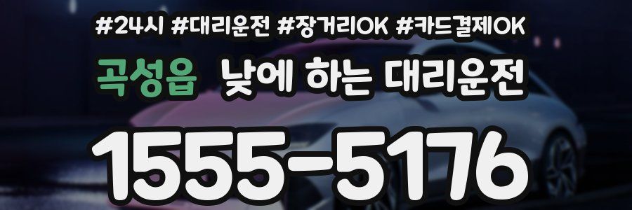 곡성읍 낮에 하는 대리운전