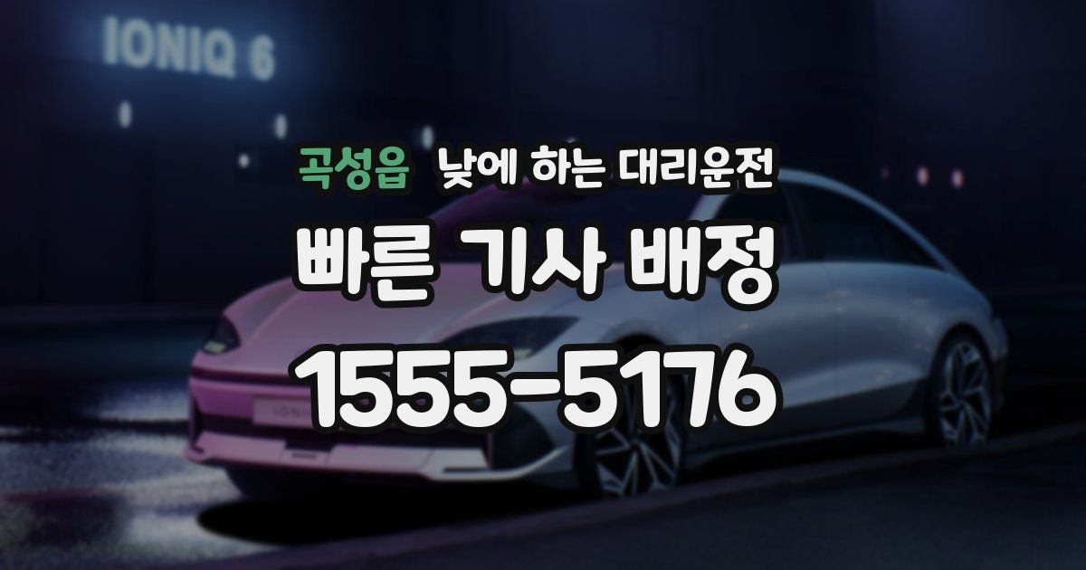 곡성읍 낮에 하는 대리운전