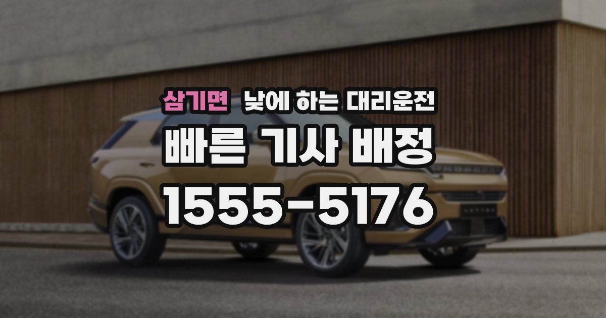 삼기면 낮에 하는 대리운전