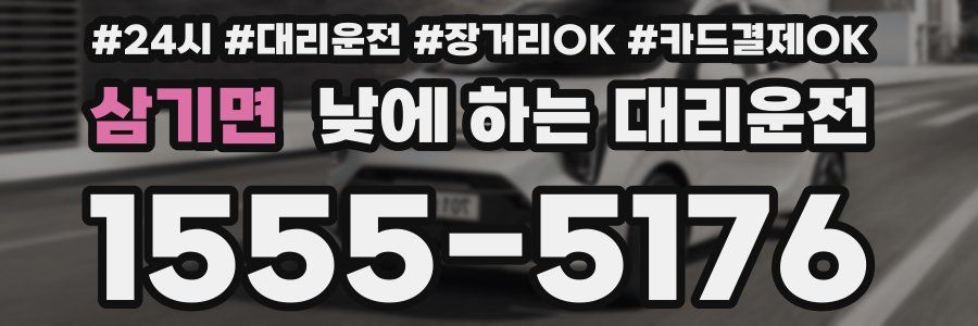 삼기면 낮에 하는 대리운전