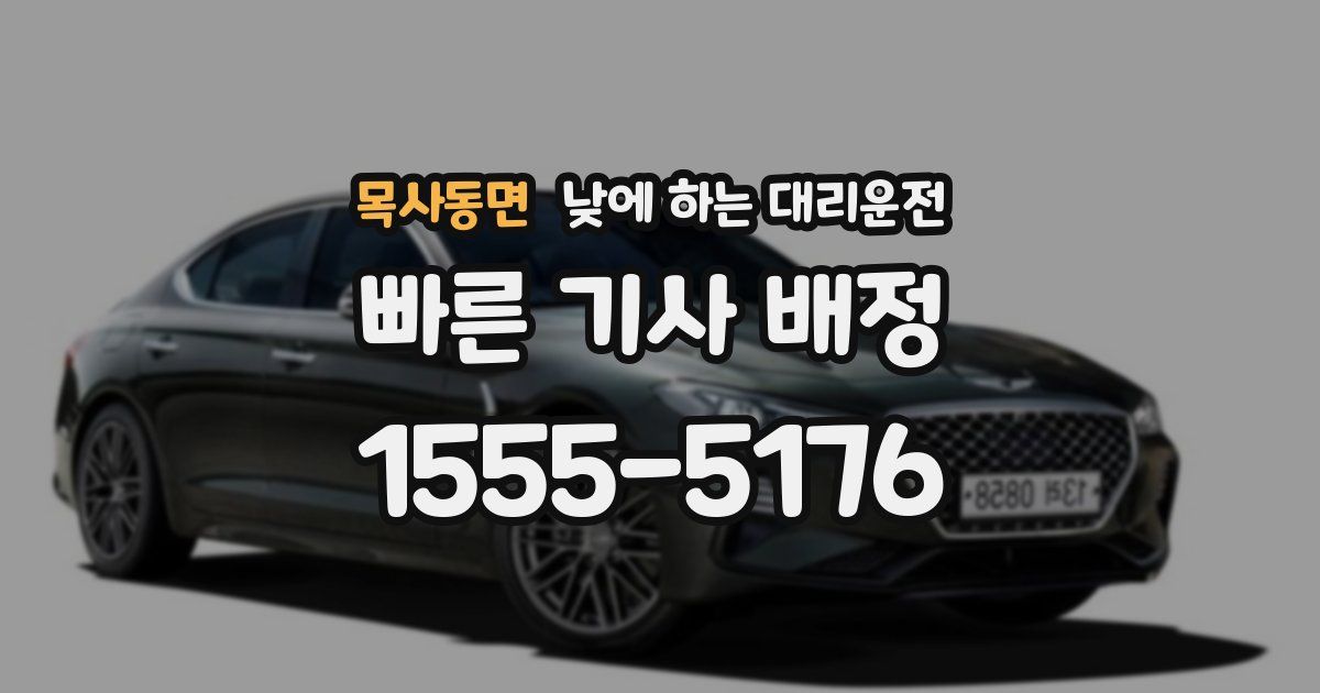 목사동면 낮에 하는 대리운전