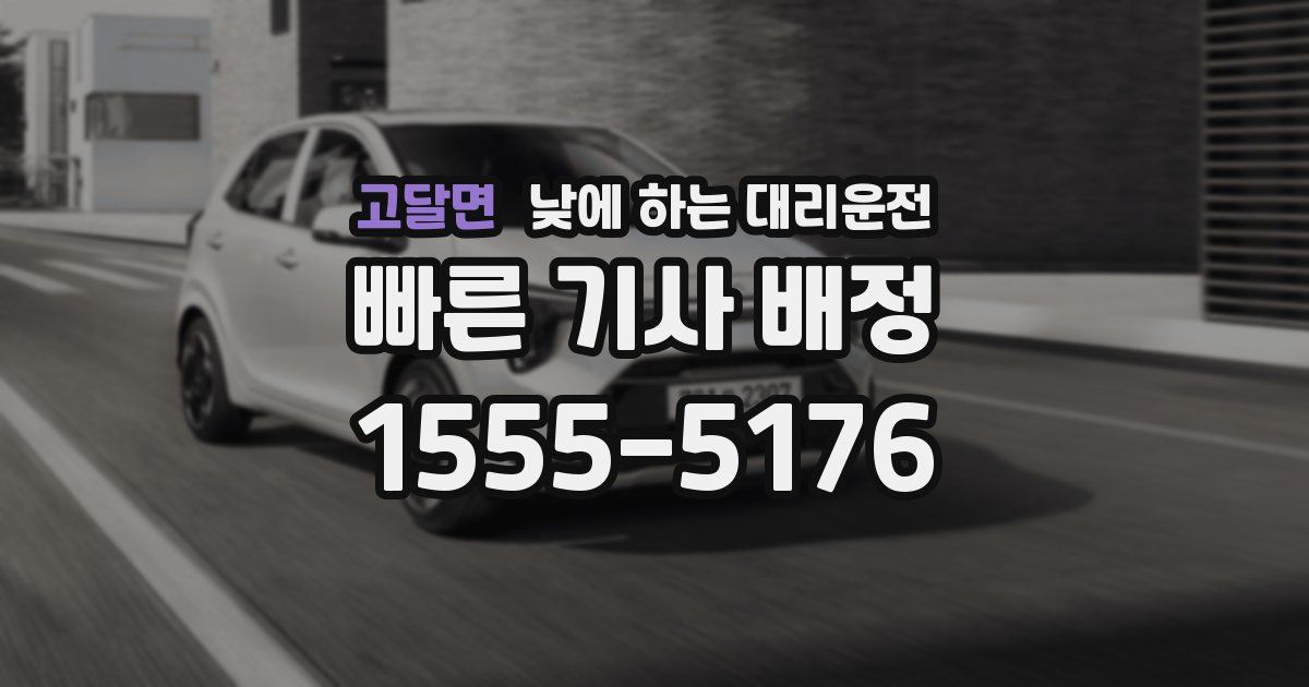 고달면 낮에 하는 대리운전