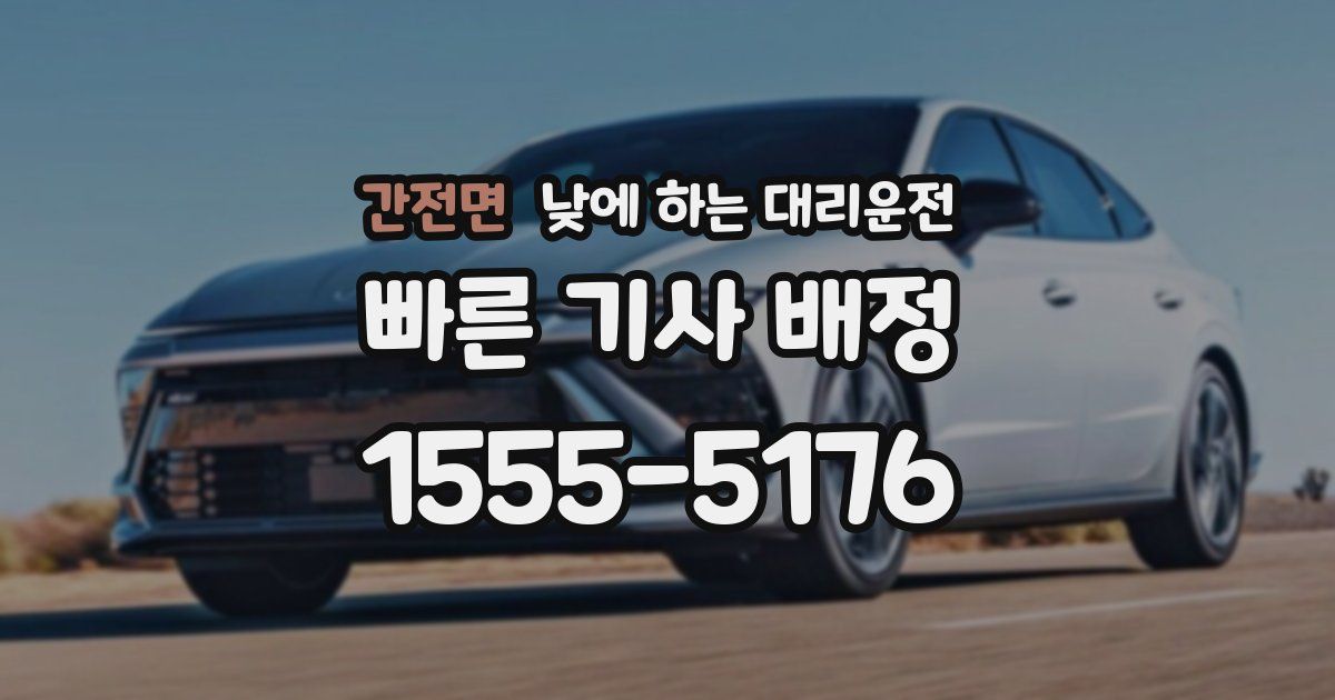 간전면 낮에 하는 대리운전