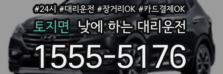 토지면 낮에 하는 대리운전