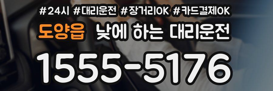 도양읍 낮에 하는 대리운전
