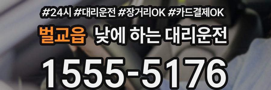벌교읍 낮에 하는 대리운전