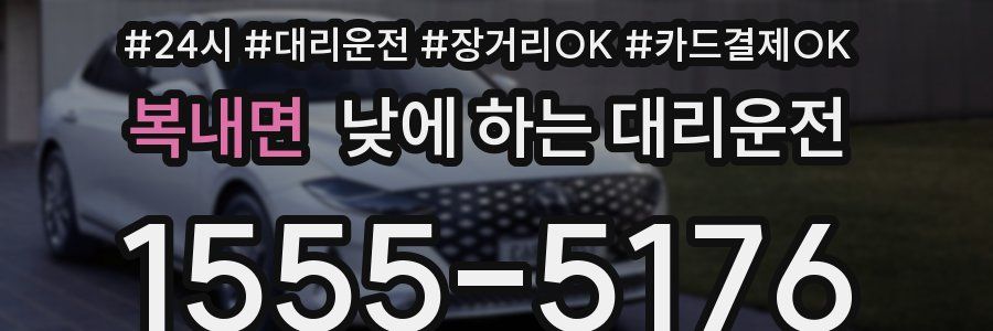 복내면 낮에 하는 대리운전