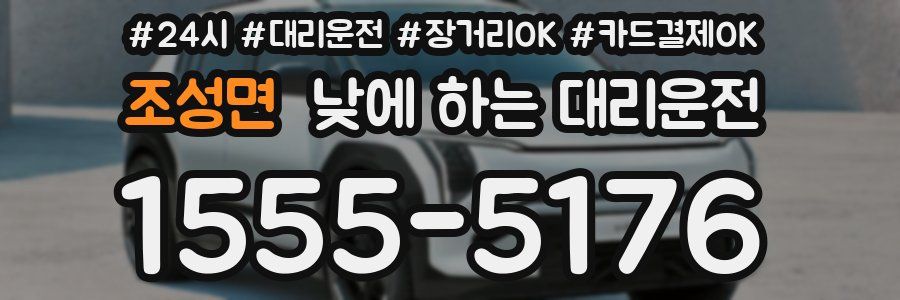 조성면 낮에 하는 대리운전