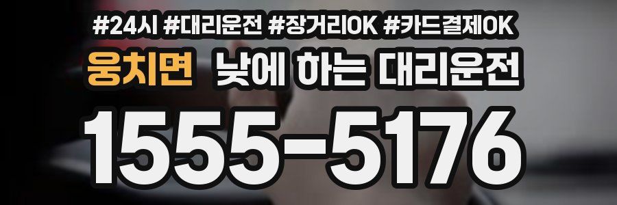 웅치면 낮에 하는 대리운전